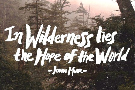 In wilderness lies the hope of the world.