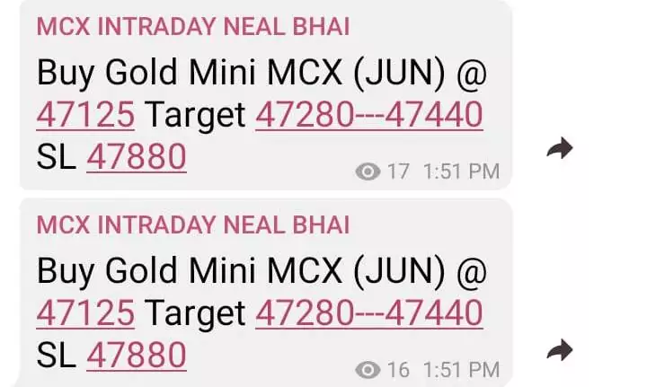 MCX Gold Mini