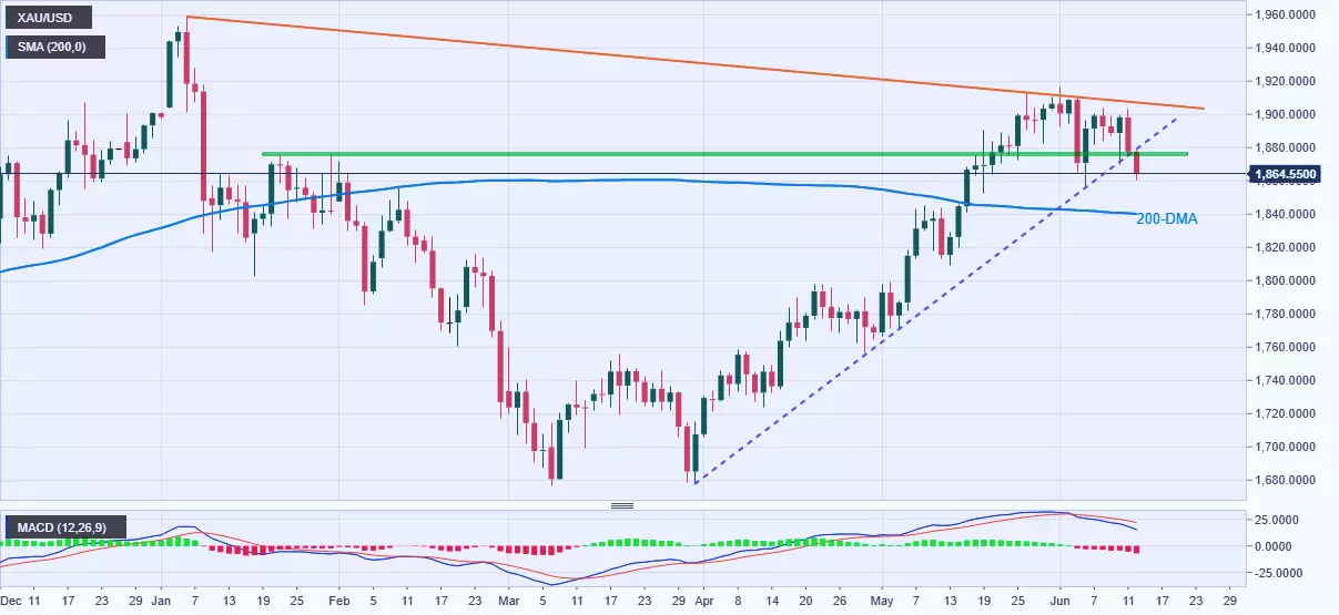 Spot Gold daily chart