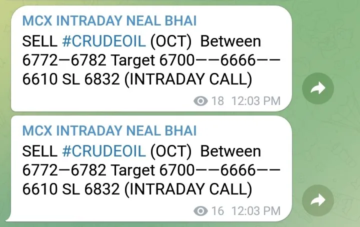 MCX Crude Tips: All Goals Achieved in Crude Oil Today, Profit 40,000 in 2 Lots
